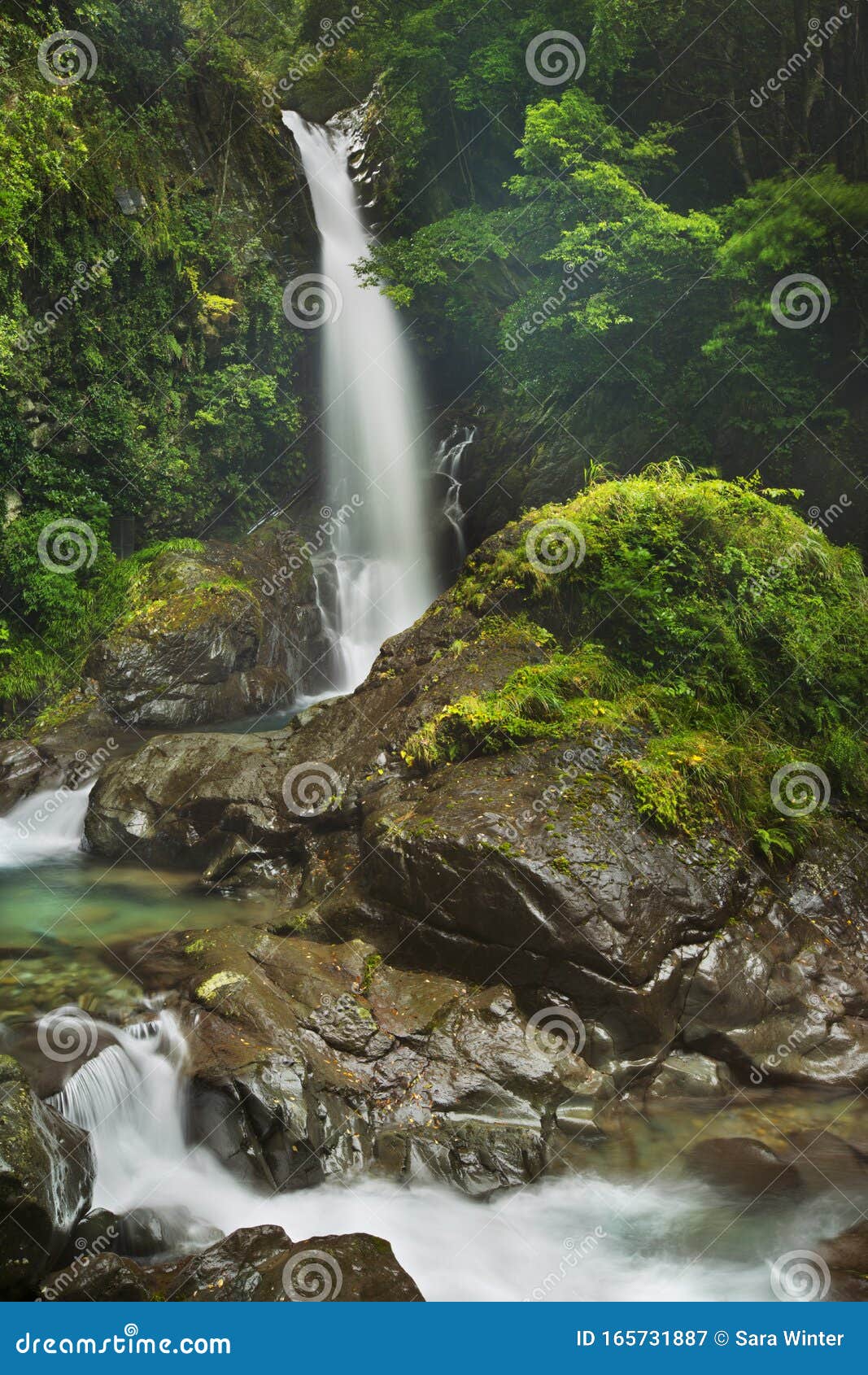 kawazu waterfall trail, izu peninsula, japan